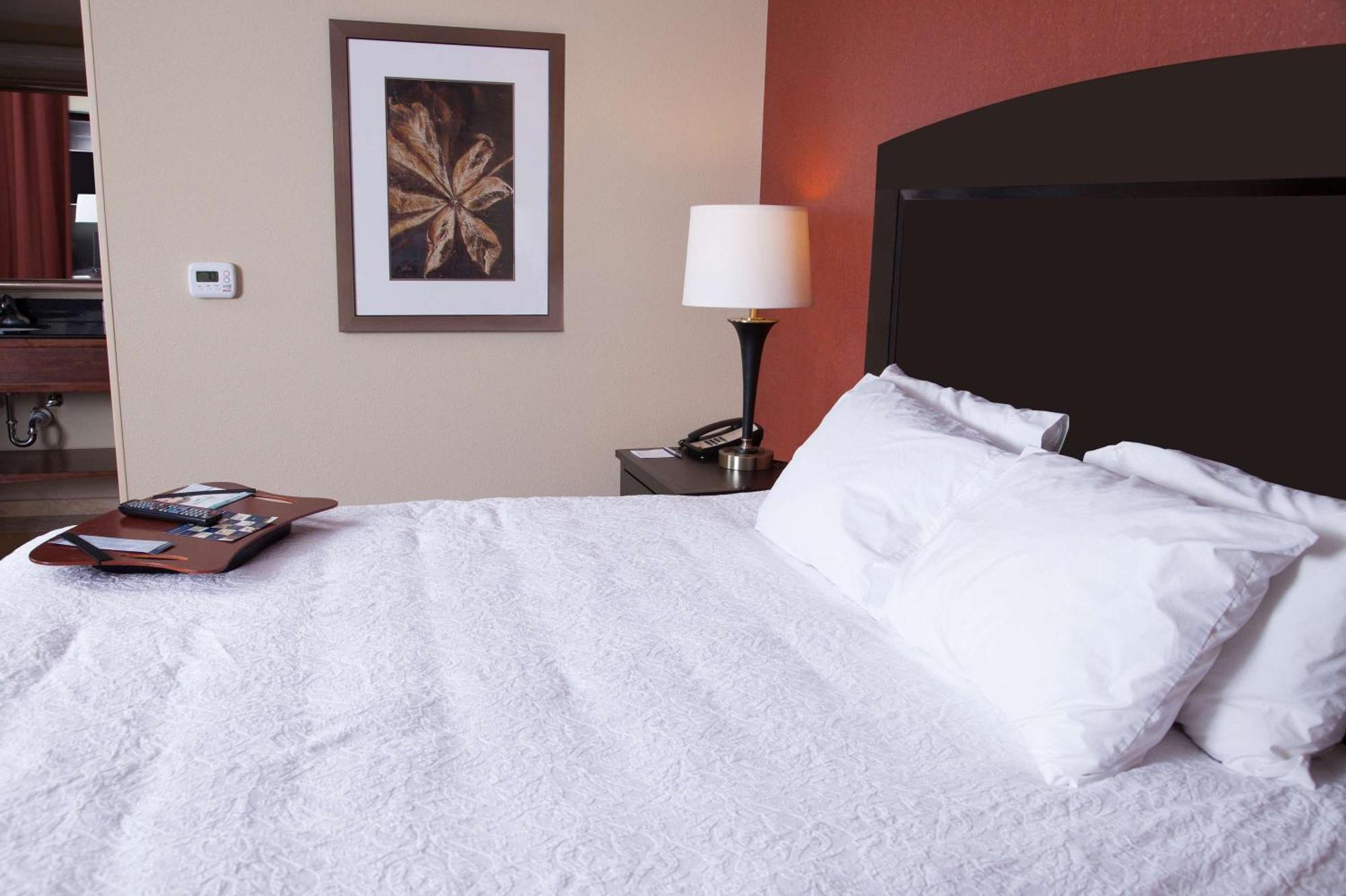 Hampton Inn & Suites Dickinson Nd Exteriör bild