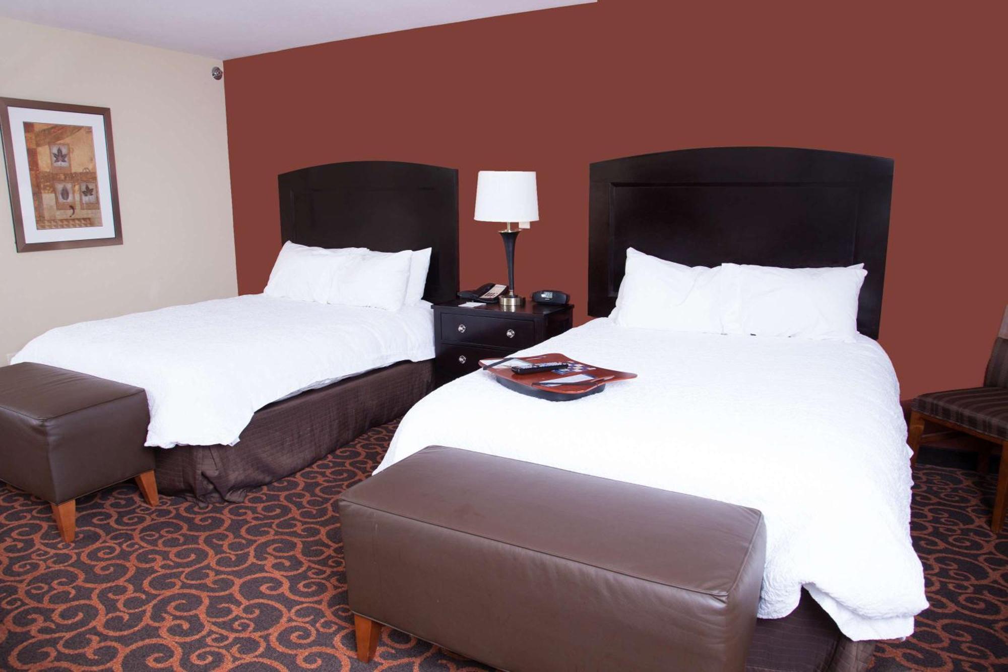 Hampton Inn & Suites Dickinson Nd Exteriör bild